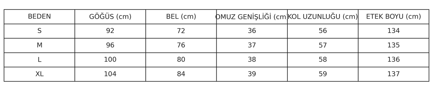 Marisela İllüstratif Desenli Kuşaklı Gömlek Elbise